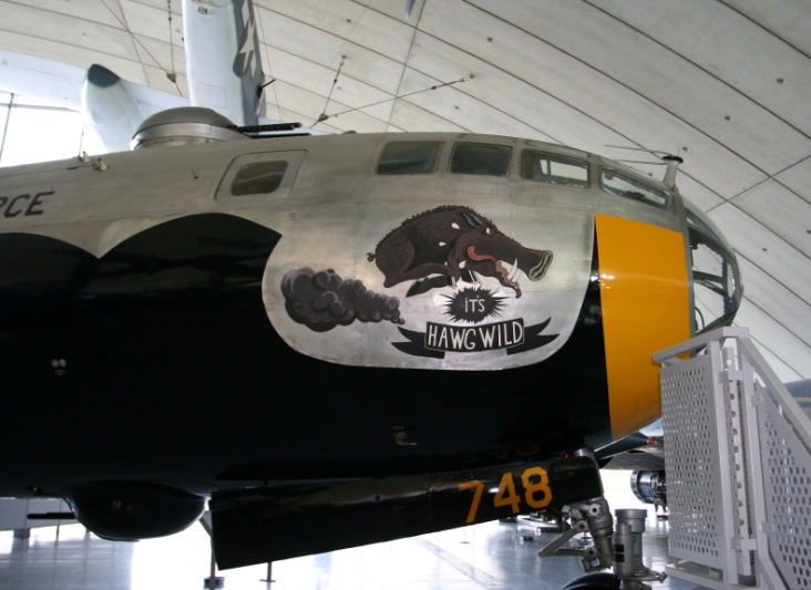 B29HawgWildpetergreenweb.jpg